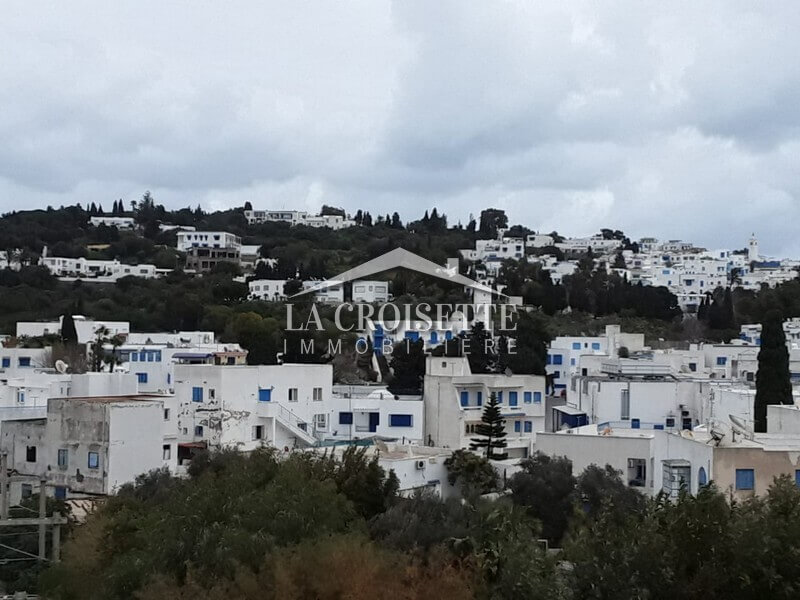 S+2 meublé à Sidi Bou Said