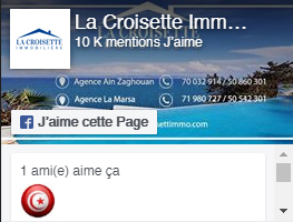 Croisette immo